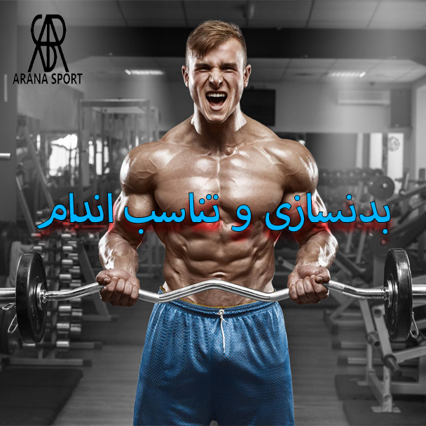 بنر لوازم بدنسازی و تناسب اندام در فروشگاه آرنا اسپرتِر