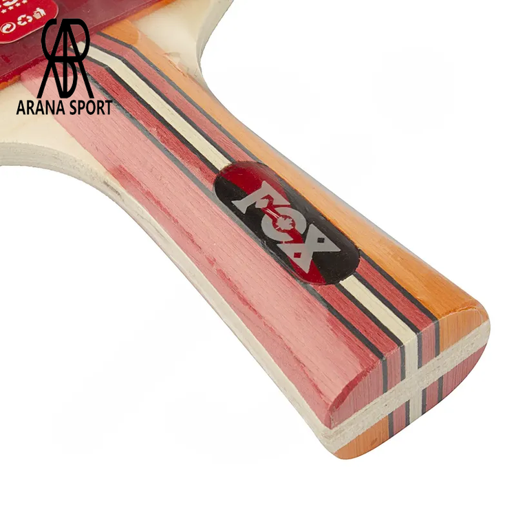 خرید راکت پینگ پنگ فاکس F5590 با دسته FL، تیغه چوبی چندلایه، کنترل و پیچ مناسب و نوار محافظ؛ انتخابی کاربردی برای بازی تفریحی و مدارس از آرنا اسپورتر.03